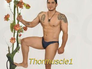thormuscle1 Archive DVD ORG