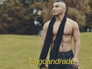 tiagoandrade Archive DVD ORG