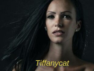 tiffanycat Archive DVD ORG