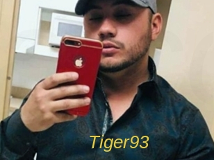Tiger93