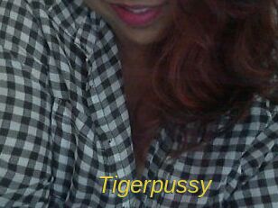 tigerpussy Archive DVD ORG