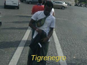 Tigrenegro