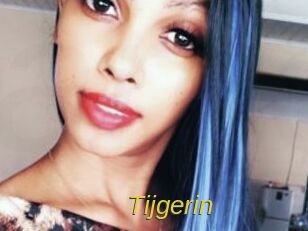 Tijgerin