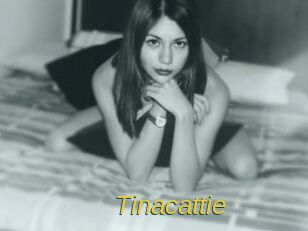 Tinacattie