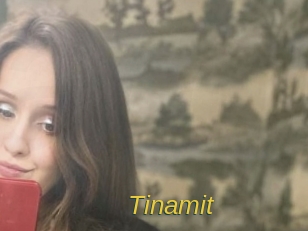 Tinamit