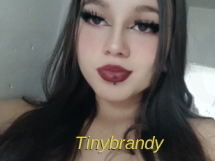 Tinybrandy