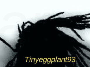 Tinyeggplant93