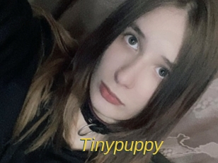 Tinypuppy