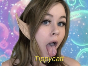 tippycatt Archive DVD ORG