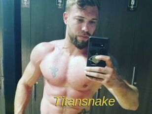titansnake Archive DVD ORG