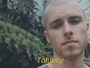 Tofu_boy