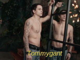 Tommygant
