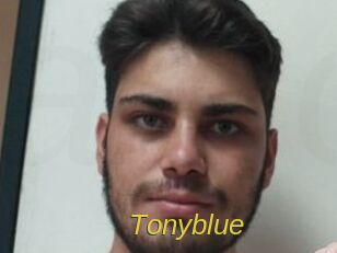 tonyblue Archive DVD ORG