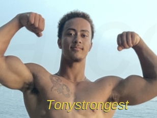 tonystrongest Archive DVD ORG