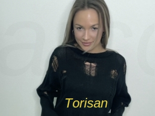 Torisan