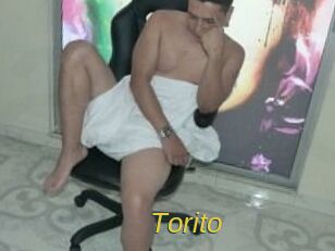 torito Archive DVD ORG