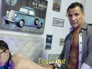 Toro_hot