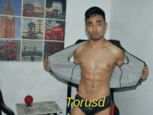 Torusd