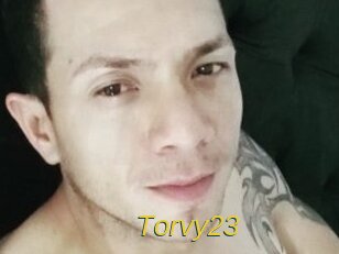 Torvy23