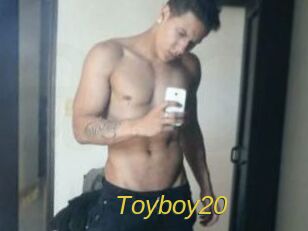 toyboy20 Archive DVD ORG