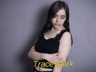 traceypark Archive DVD ORG