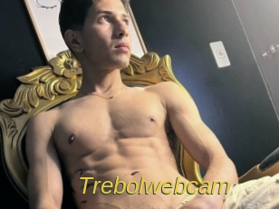 Trebolwebcam