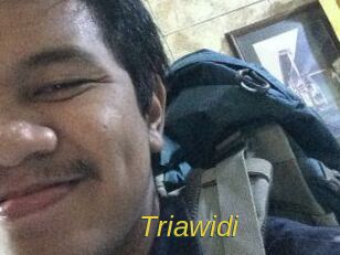 Triawidi