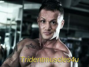 Tridentmuscles4u