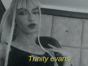 trinity_evans Archive DVD ORG