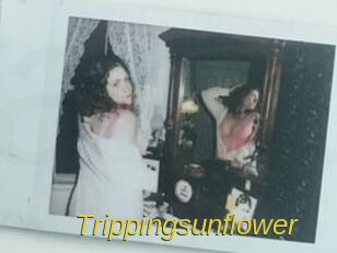 Trippingsunflower