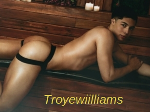 troyewiilliams Archive DVD ORG