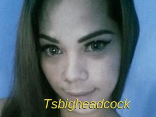 Tsbigheadcock
