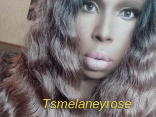 Tsmelaneyrose