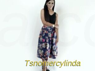 Tsnomercylinda