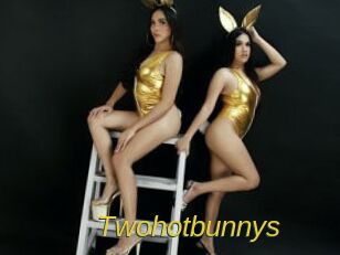 Twohotbunnys