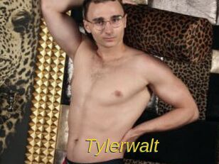 tylerwalt Archive DVD ORG