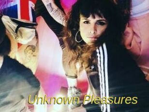 Unknown_Pleasures