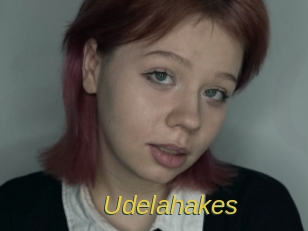 Udelahakes