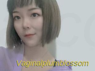 Vaginalplumblossom