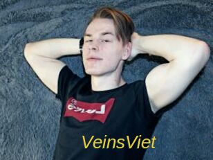 VeinsViet