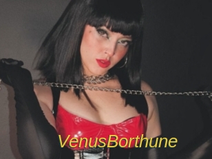VenusBorthune