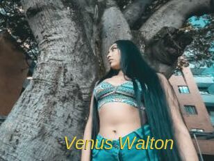 Venus_Walton