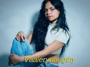 Vaalerynaugthy