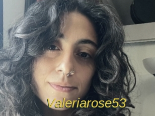 valeriarose53 Archive DVD ORG
