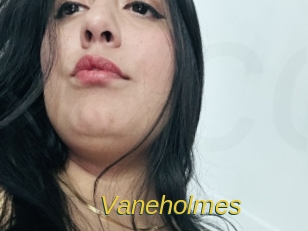Vaneholmes