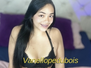 vanellopedubois Archive DVD ORG