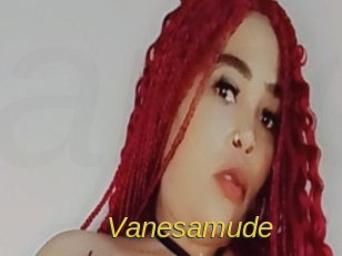 vanesamude Archive DVD ORG