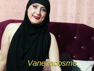 Vanezacosmo