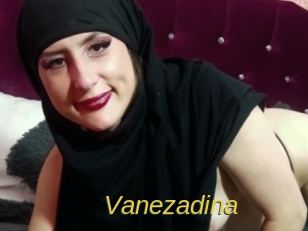 Vanezadina