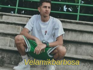 Velamikbarbosa